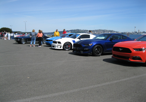 Mustang Car Clubs: Events and Activities